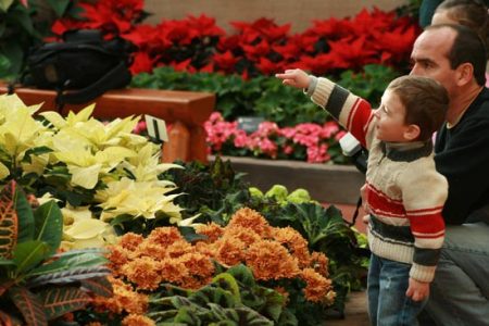 Holiday Exhibit Celebrates Milestone Image
